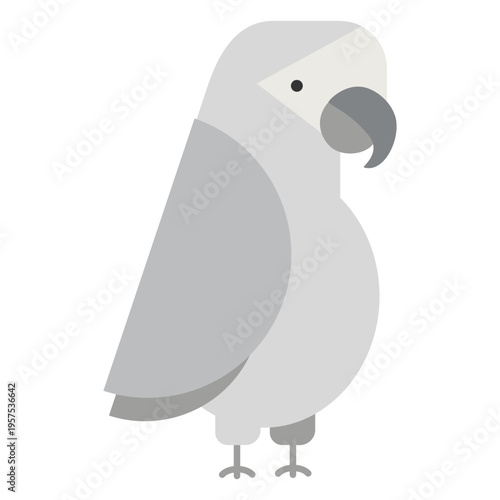 Grey parrot bird illustration