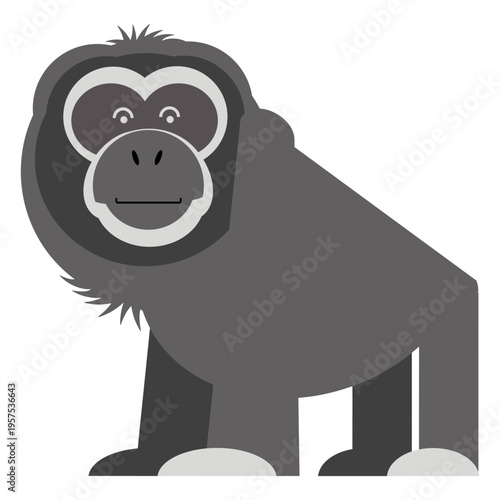 Gibbon monkey illustration