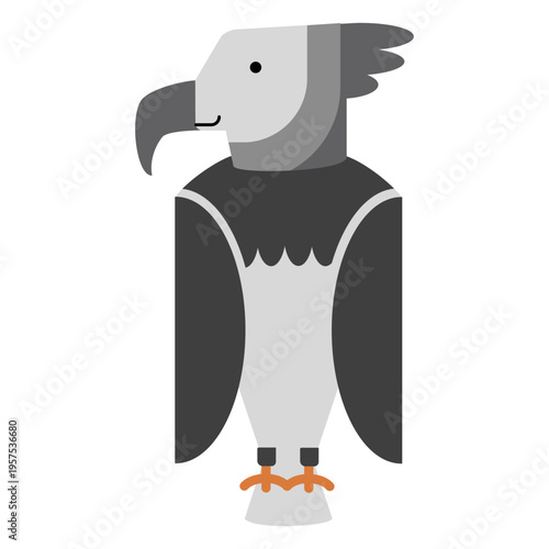Harpy eagle bird illustration