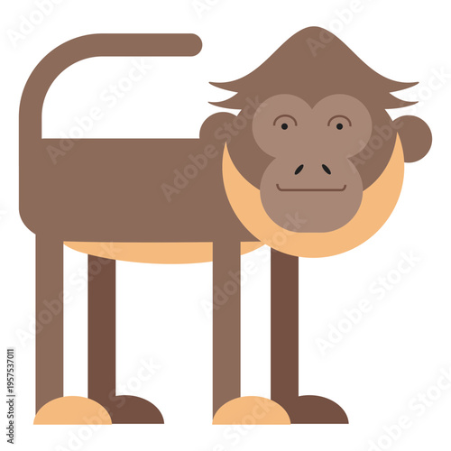 Spider monkey illustration