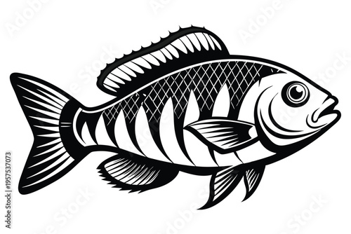 tilapia silhouette line art vector illustration