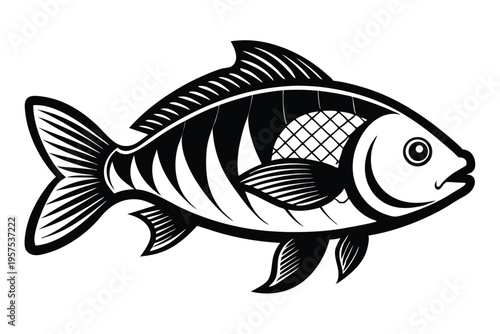 tilapia silhouette line art vector illustration