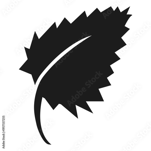 Birch leaf black icon