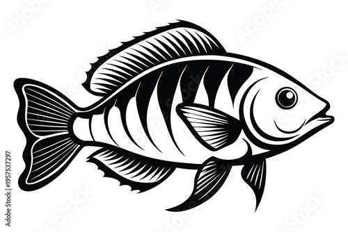 tilapia silhouette line art vector illustration