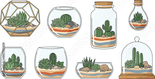 Collection of various succulent terrariums in glass containers, featuring diverse plants, stones, and sand layers