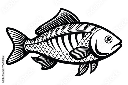 tilapia silhouette line art vector illustration