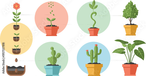 Visualizing Plant Growth Stages from Seed to Mature Tree in Potted Environments