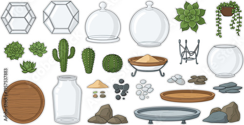 Terrarium Elements and Botanical Decor: An array of terrarium elements and botanical decorations. This assortment contains geometric glass containers, decorative glass domes, different succulents.
