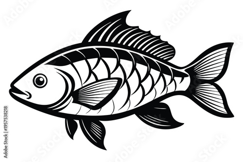 tilapia silhouette line art vector illustration