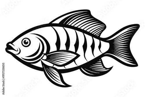 tilapia silhouette line art vector illustration