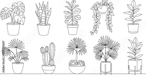 Diverse Flora in Delicate Outlines: A collection of various indoor plants showcased with intricate line art, presenting a blend of botanical textures and forms. 