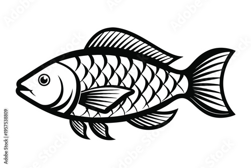 tilapia silhouette line art vector illustration
