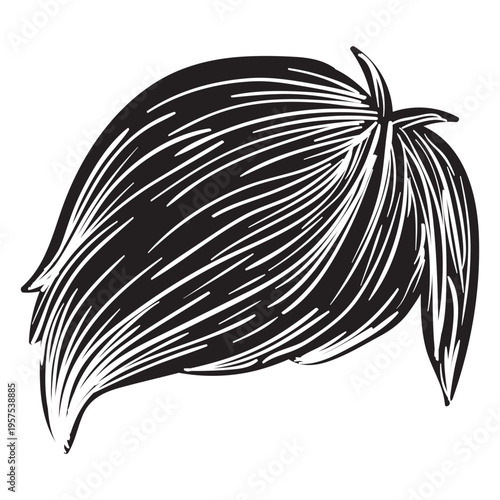 Side fringe men hair icon