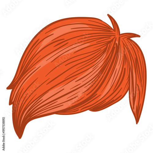 Side fringe men hair illustration