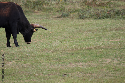 Region Teutoburger Wald