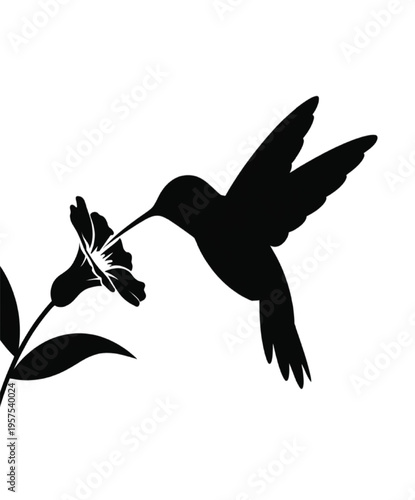 Black silhouette of a hummingbird feeding from a flower vector illustration EPS PNG file