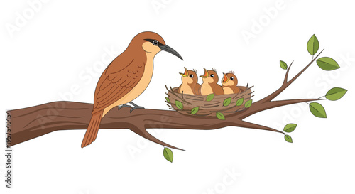 A bird attentively feeds its three chicks nestled within a woven nest on a branch silhouette high quality professional detailed modern