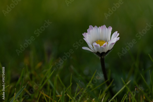 Region Teutoburger Wald