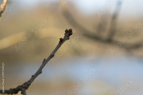 Region Teutoburger Wald