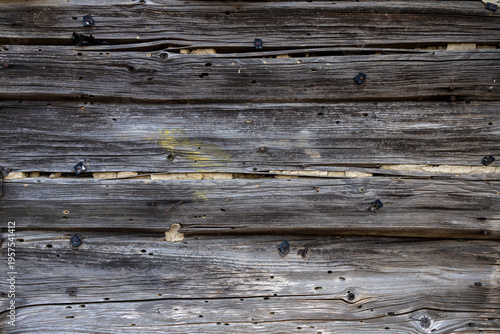 wood pattern texture old plank