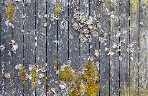 wood pattern texture old plank