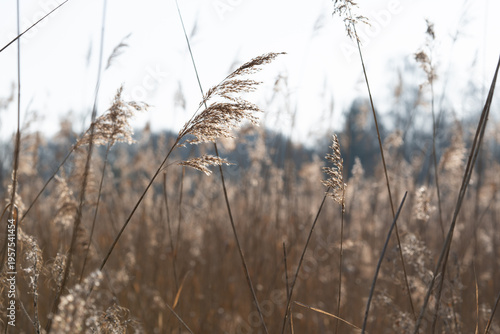 Region Teutoburger Wald