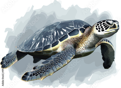 Detailed sea turtle vector illustration swimming in the ocean water for marine life conservation nature and underwater wildlife design concepts
