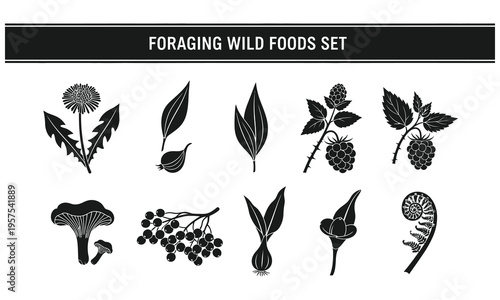 Foraging and Identification