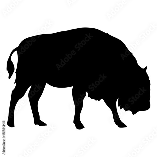 Bison buffalo auroch bull silhouette
