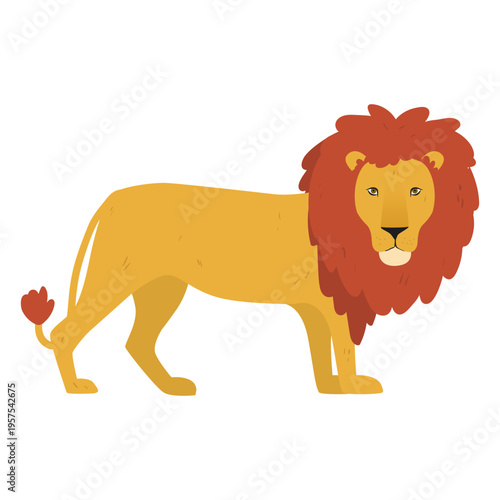 Lion king illustration