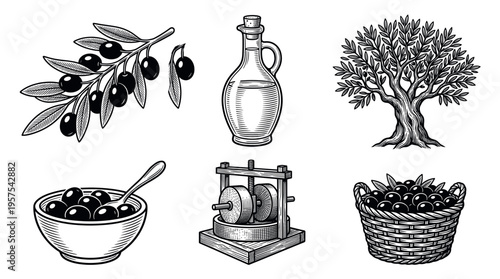Set of vintage olive oil production icons. Includes olive tree, branch, press, and bottle. Perfect for retro packaging, food labels, and farm branding design.