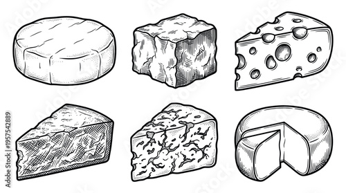 A set of various cheese types in a vintage, hand-drawn engraved style. Perfect for menus, food packaging, or restaurant branding. Includes brie, cheddar, swiss, and blue cheese.