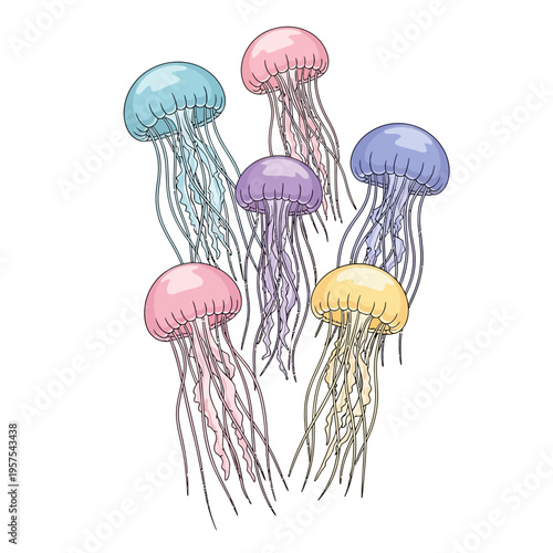 Colorful Jellyfish Illustration, Gentle Marine Life, Underwater Fantasy Art