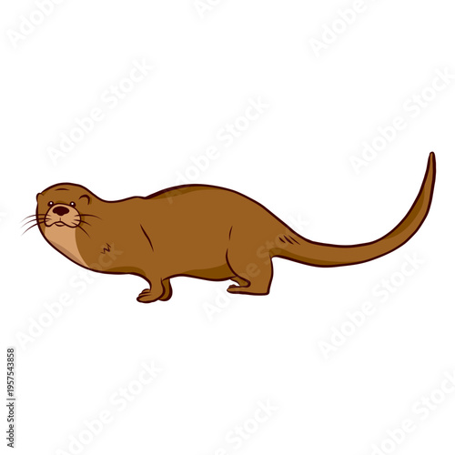 Otter muzzle illustration