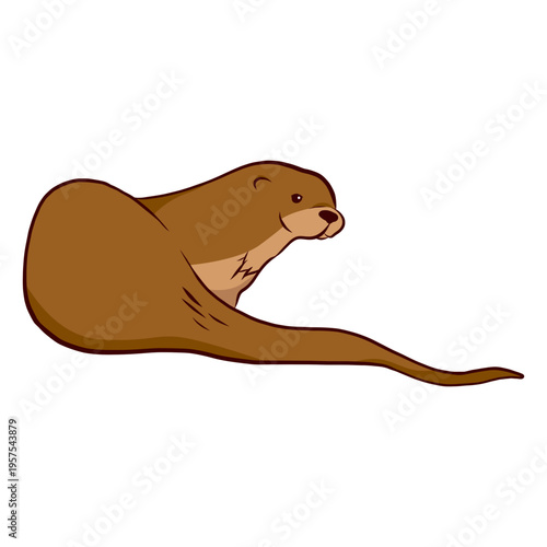 Otter muzzle tail illustration