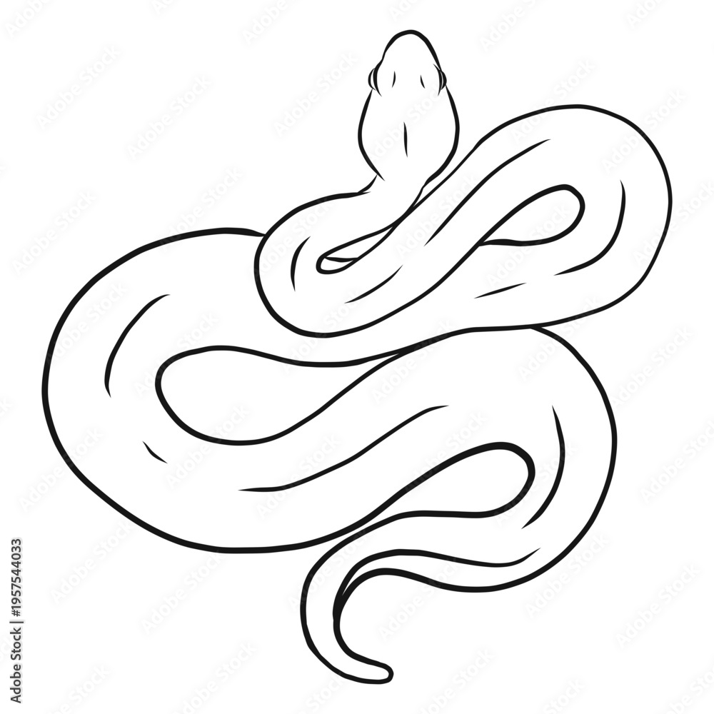 Fototapeta premium Snake twisting sketch