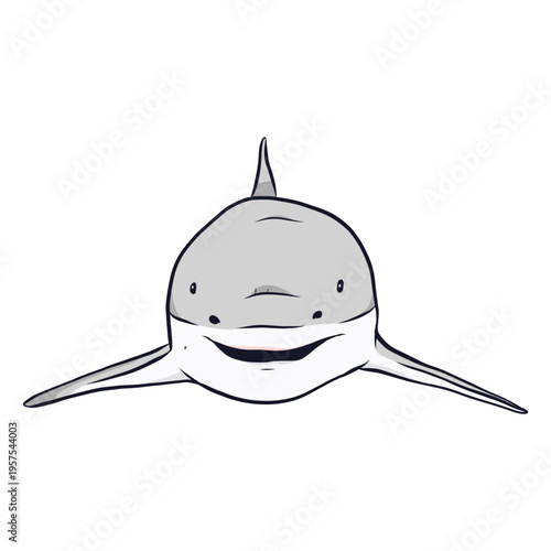 Shark fin illustration