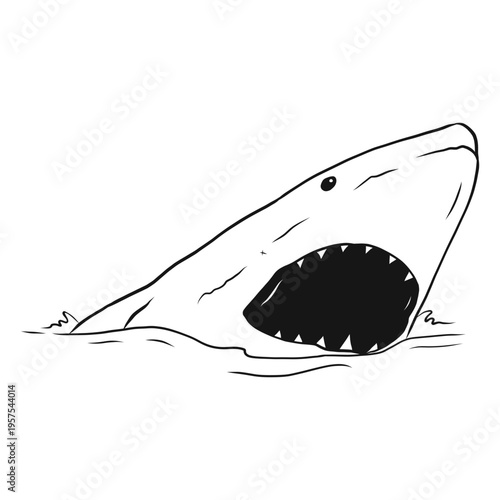 Shark mouth jaw tooth sea sketch