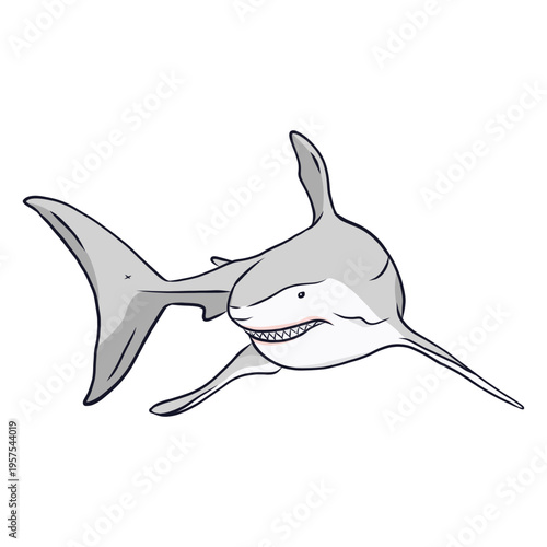 Shark tooth fin tail illustration
