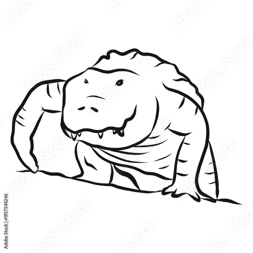 Alligator crocodile fang sketch