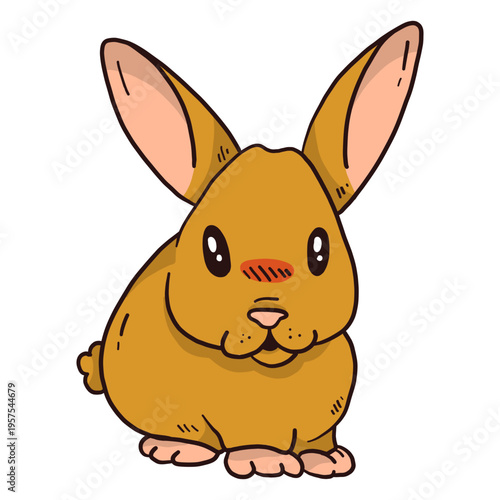 Cute rabbit bunny ear muzzle fat flat