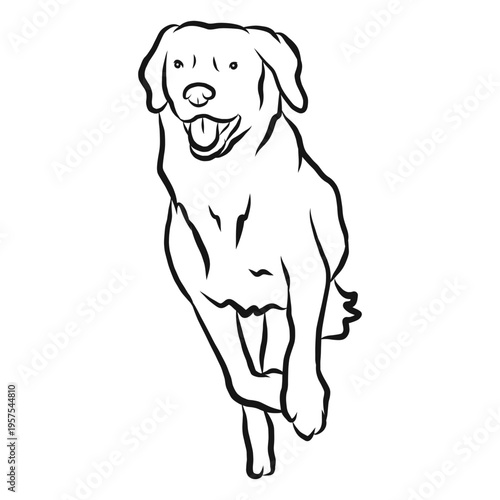 Dog run tongue sketch