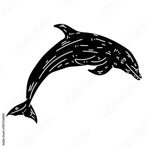 Dolphin flipper tail silhouette