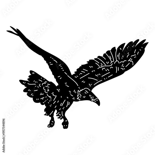 Eagle wing beak talon fly silhouette
