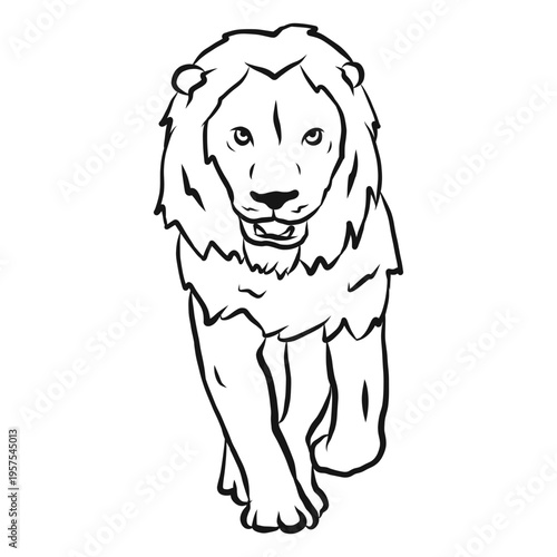 Lion mane king sketch