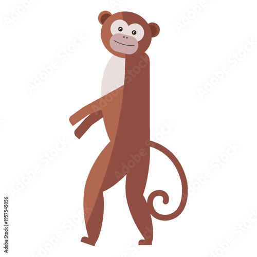 Monkey leg tail muzzle flat