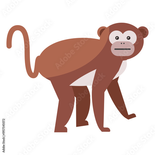 Monkey muzzle tail leg flat