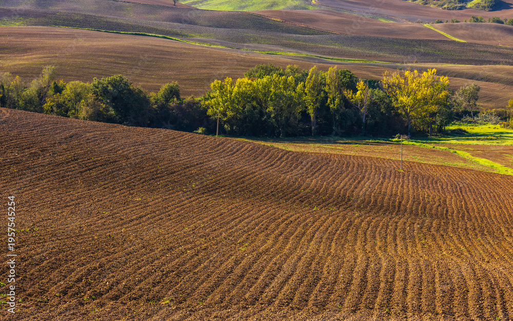 Obraz premium Tuscan hills showing abstract patterns of plowed soil, Italy.