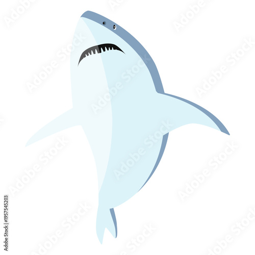 Shark fin tail tooth flat