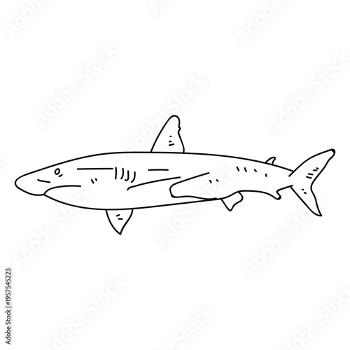 Shark jaw mouth sea stroke